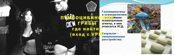 спиды Алзамай