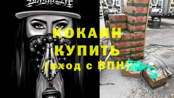 спиды Алзамай