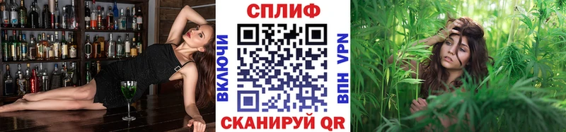 Бошки Шишки AK-47  наркотики  Новопавловск 